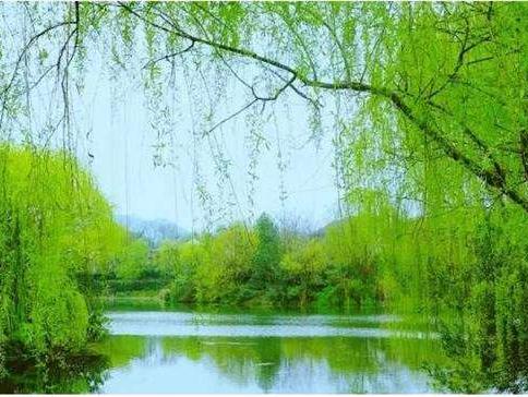 三月三怎么过？迈世带您看三月三