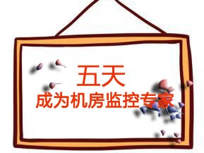 我们在迈世学习，成长与收获