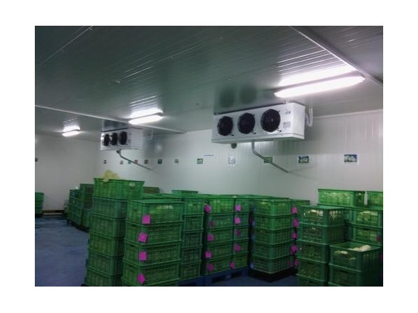 果蔬仓（冷）库温湿度监测智能报警系统让环境更稳定！