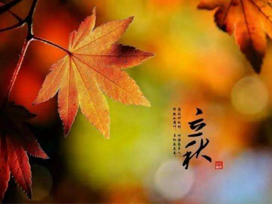 秋来了，莫慌！智慧主机依旧值得推荐的